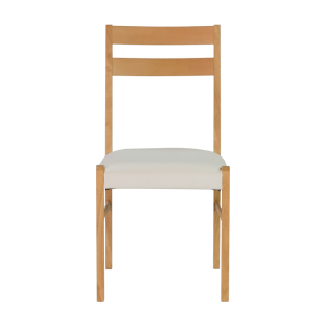 ELIOT DINING CHAIR_fs