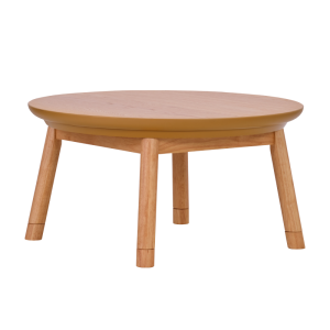 AntyKotatsu_0040