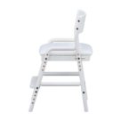 デスク チェア 組立品 (WH)